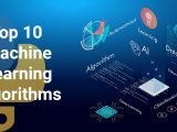 Top 10 Machine Learning Algorithms In Python Activestate