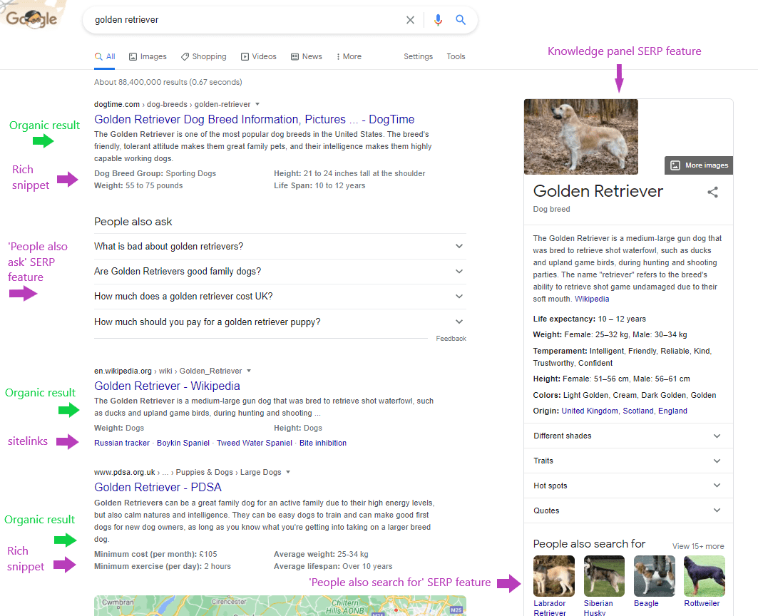 At the very start of the game, a puppy will be present on the ranch. What Are Serp Features Adido Digital
