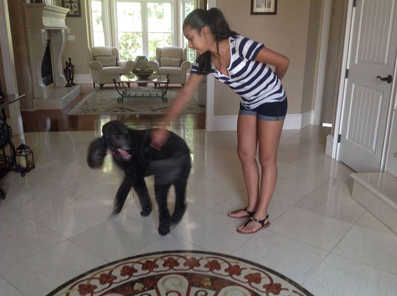 How to Teach a Dog to Spin in a Circle: Easy Steps & Tips