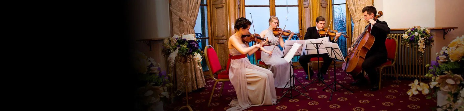 Devon String Quartets Wedding String Quartets In Devon - Geometric Pictures - Professional Full HD Collection