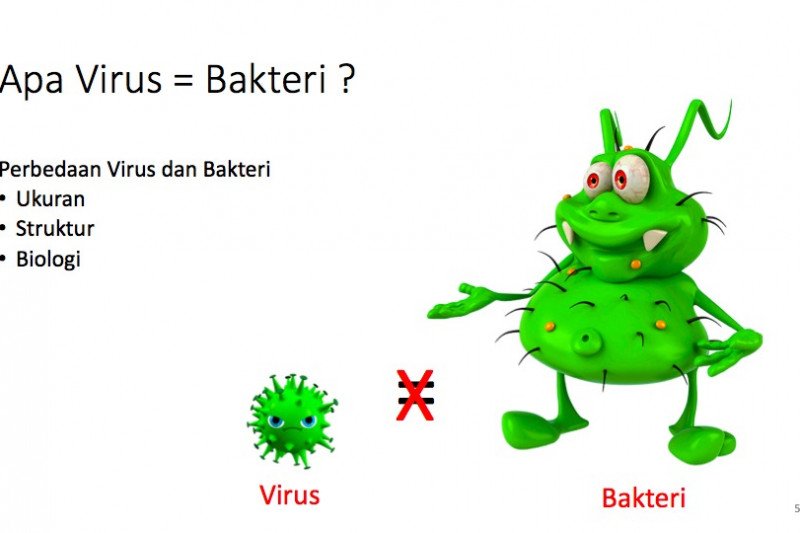 Mengenal Perbedaan Varian Covid 19 Biasa Dengan Varian Delta News Mobile Virus hanya dapat bereproduksi di dalam material hidup dengan memanfaatkan sel makhluk hidup.