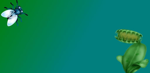 Flytrap For Pc How To Install On Windows Pc Mac - Download Gorgeous Dark Illustration | 4K