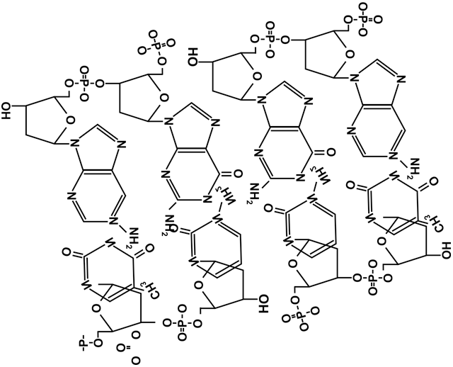 Please like, comment, and share. Dna Sequencing Part 2 Ligases And Pcr Ars Technica