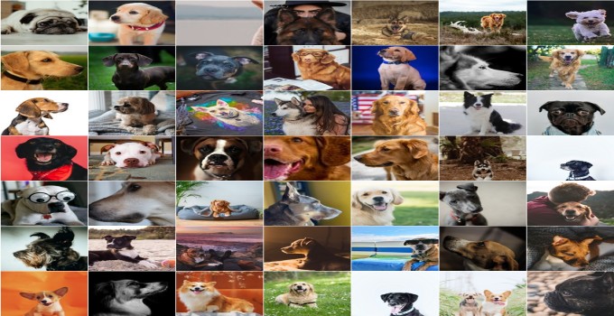 Does dog urine have ammonia in it