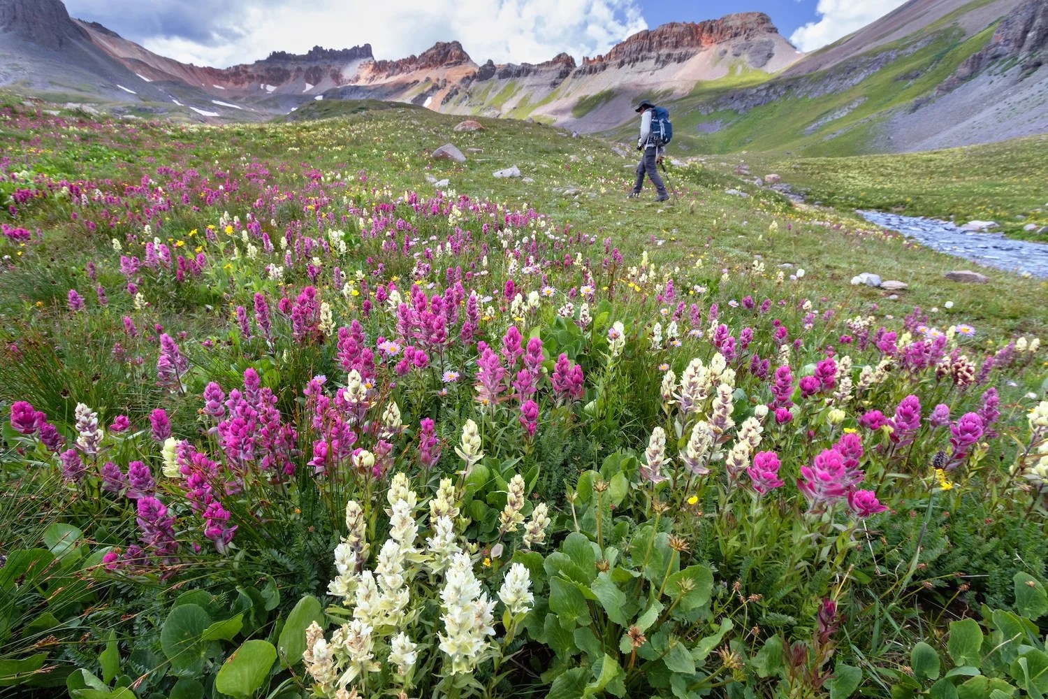 Seasonal Objectives To Level Up Your Time On Trail In 2026 Backpacker Gettyimages 832984240.