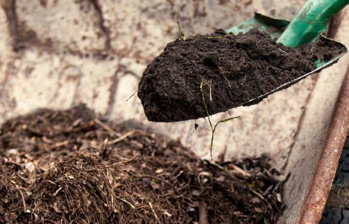 Which is better? topsoil vs compost