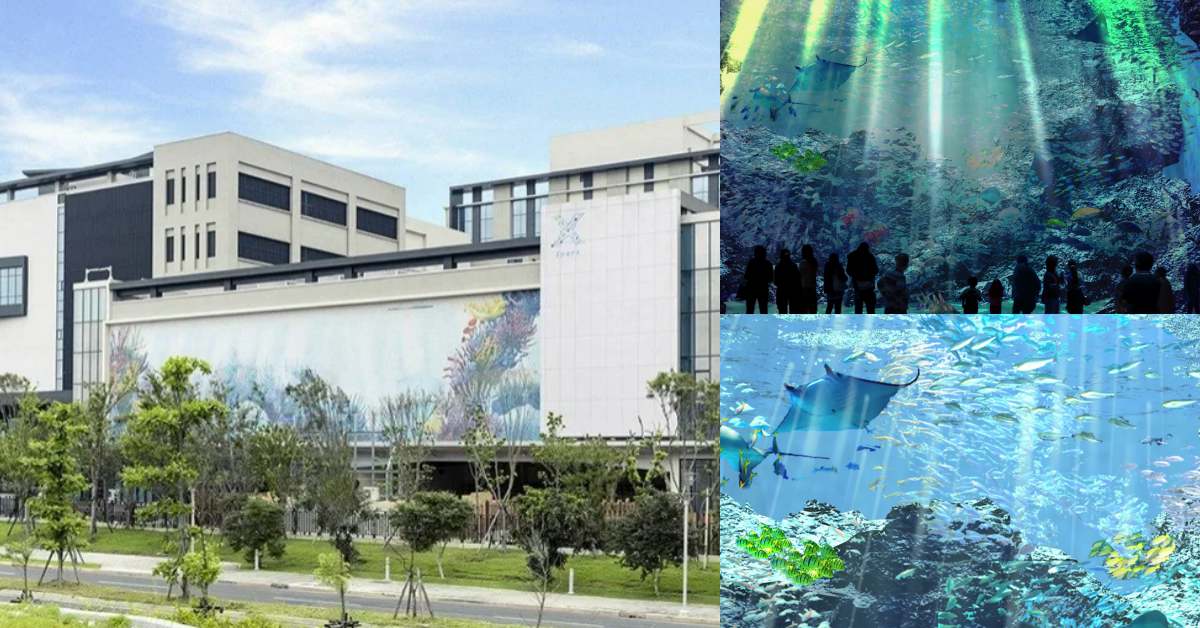 青埔水族館徵才青埔影城 飯店 水族館接連開 Wrmzko