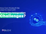 Mulesoft Data Integration Solutions Enterprise Level Integration