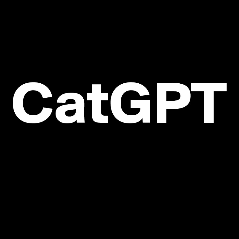 Catgpt - Download Professional Minimal Image | Ultra HD
