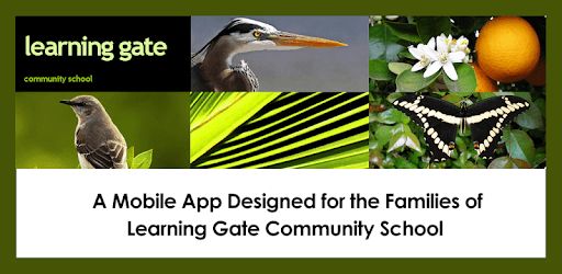 Learning Gate Community Learning Gate Community School - Space Texture Collection - High Resolution Quality