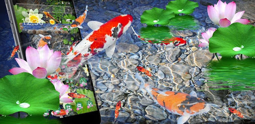 Koi Fish Ambience Patchstorage - Download Premium Mountain Design | High Resolution