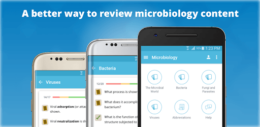 Usmle microbiology flashcards for pc