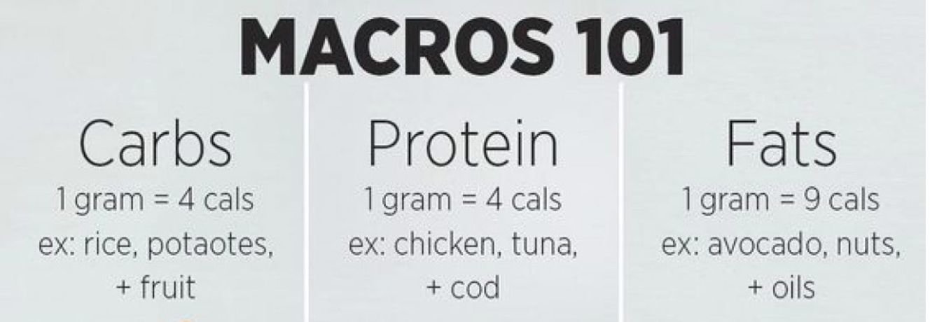 What are macros?