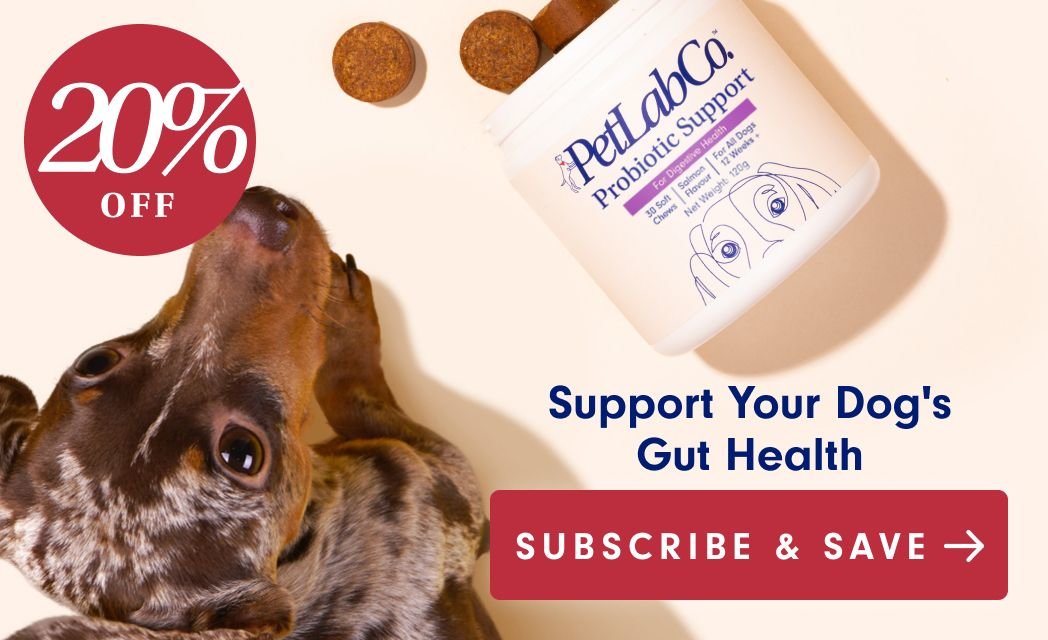 Petlab co.