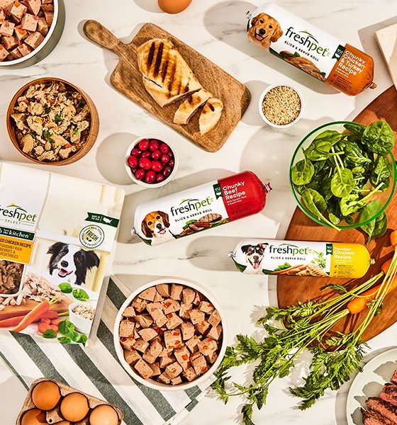 Freshpet puppy food