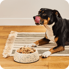 Freshpet puppy food