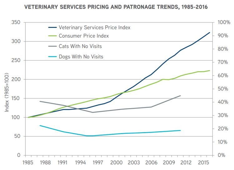 How much does a vet visit cost? here's everything you need to know