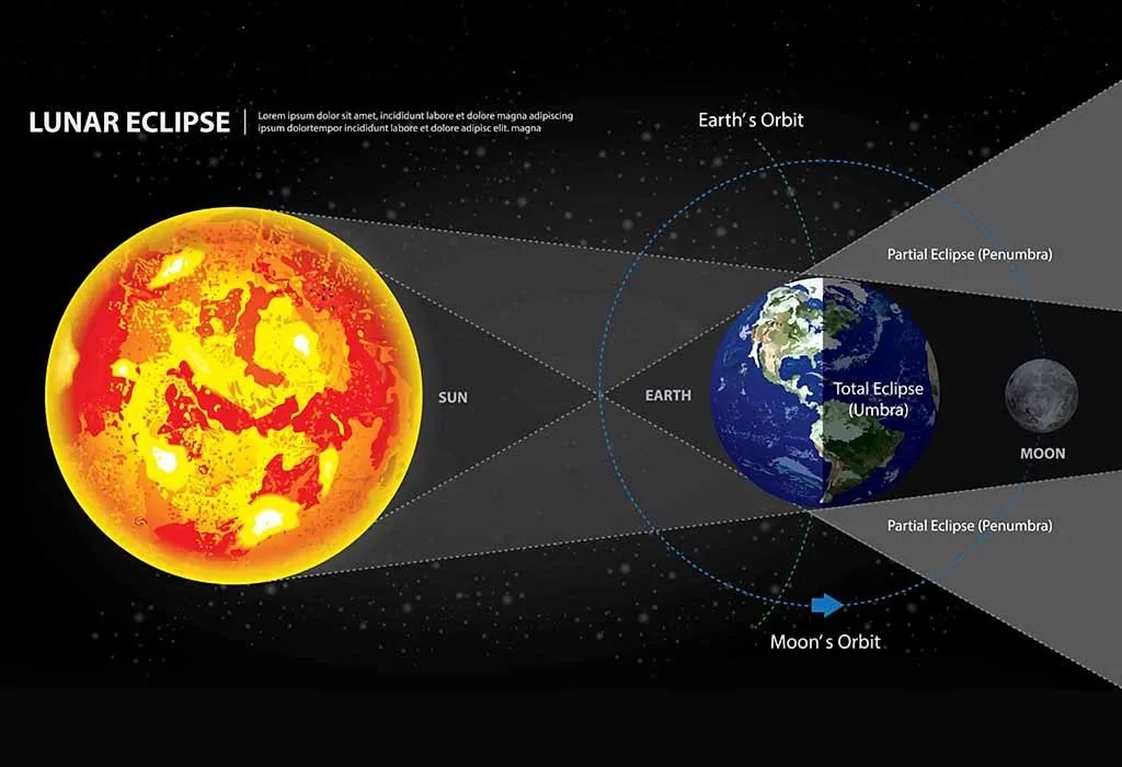 The menu promises freshly made salads and sandwiches from organic ingredients, but we like the smoothies, fresh juices and full breakfast menu. Lunar Eclipse 2020 Interesting Facts For Kids