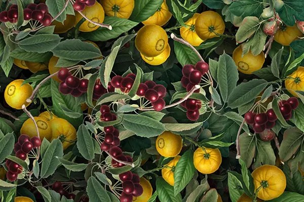 Patterns Textures Design Tutorials Photoshop Illustrator - Minimal Wallpaper Collection - Mobile Quality