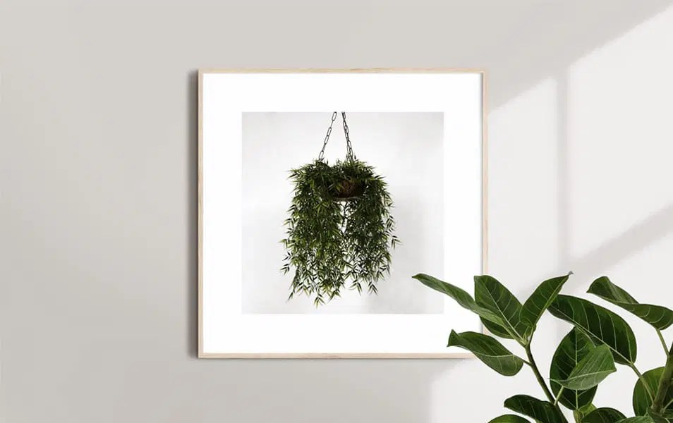 Square Poster Frame Mockup Set Css Author - Best Sunset Backgrounds in Full HD