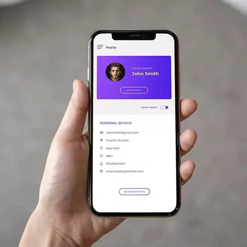 Vector Iphone X In Hand Mockup Css Author - Amazing City Texture - Retina
