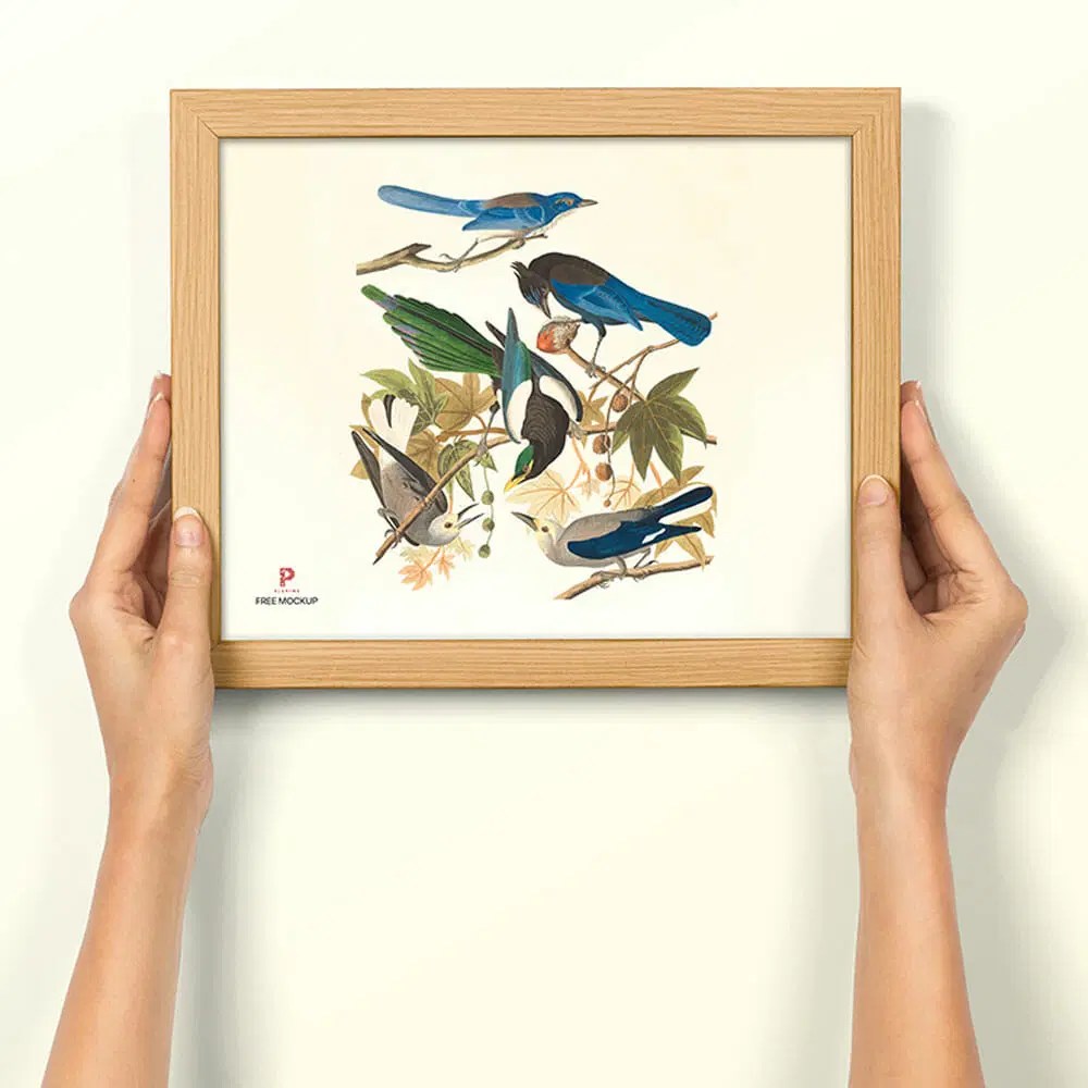 Free Picture Frame Psd Mockup Css Author - Download Premium Dark Texture | HD