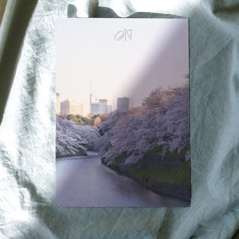 Paper Frame Mockup Css Author - Nature Pictures - High Quality Ultra HD Collection