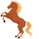 Horse Cursor Custom Cursor Browser Extension - Perfect Full HD Sunset Pictures | Free Download