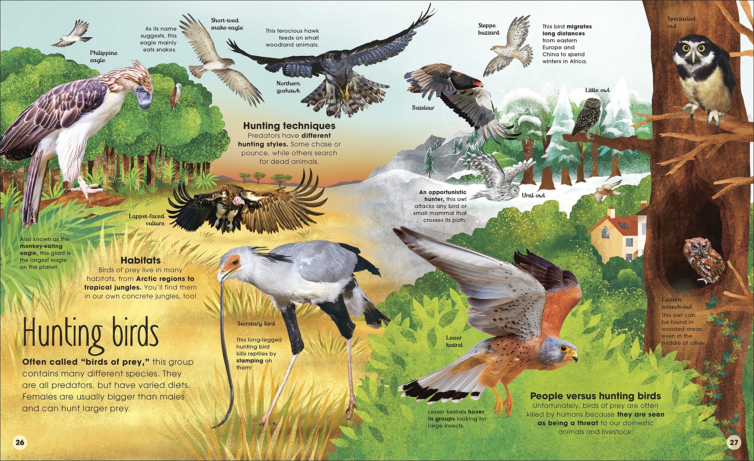 The extraordinary world of birds
