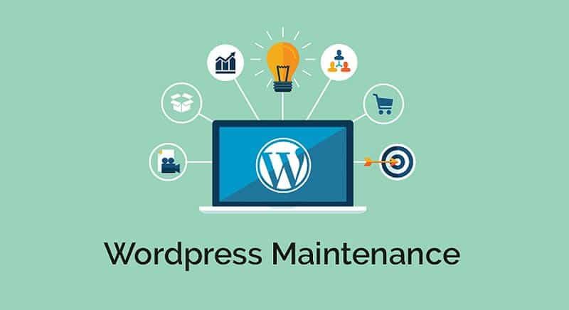 Perform visual check · update: WordPress Maintenance Tips. Essential WordPress Upkeep - DesignBump
