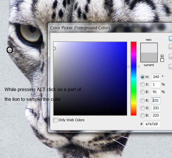 step3_color_sampling