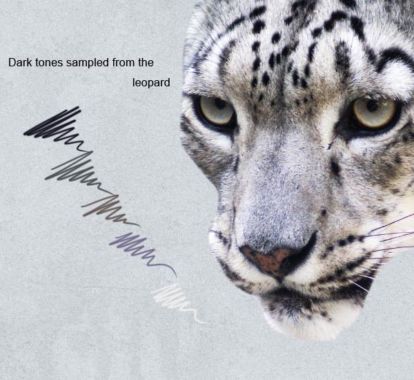 step3_color_sampling2