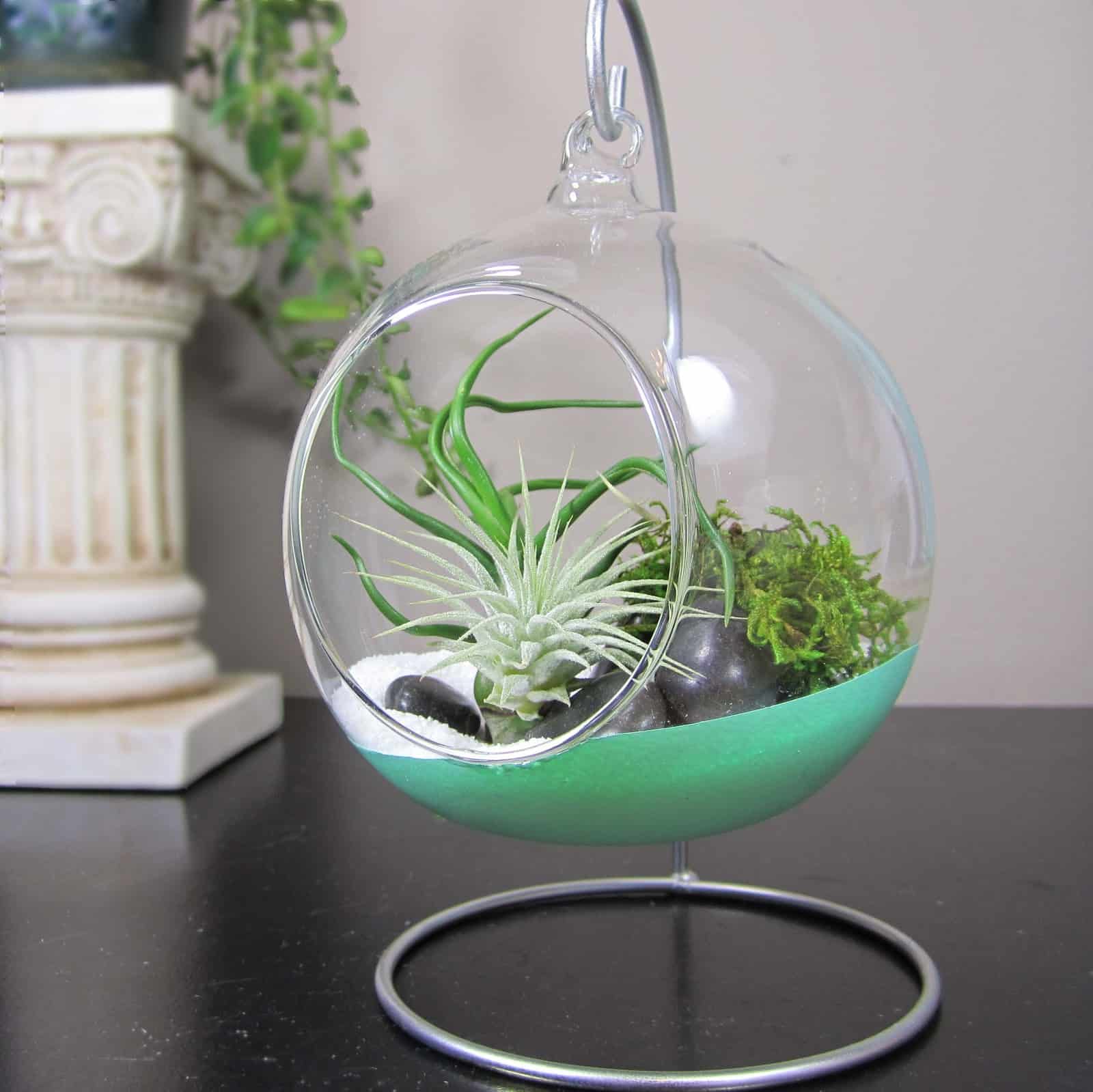I'm not a huge fan of gift certificates or gift cards, unless they are very specific to . 15 DIY Terrarium Projects To Test Out This Spring