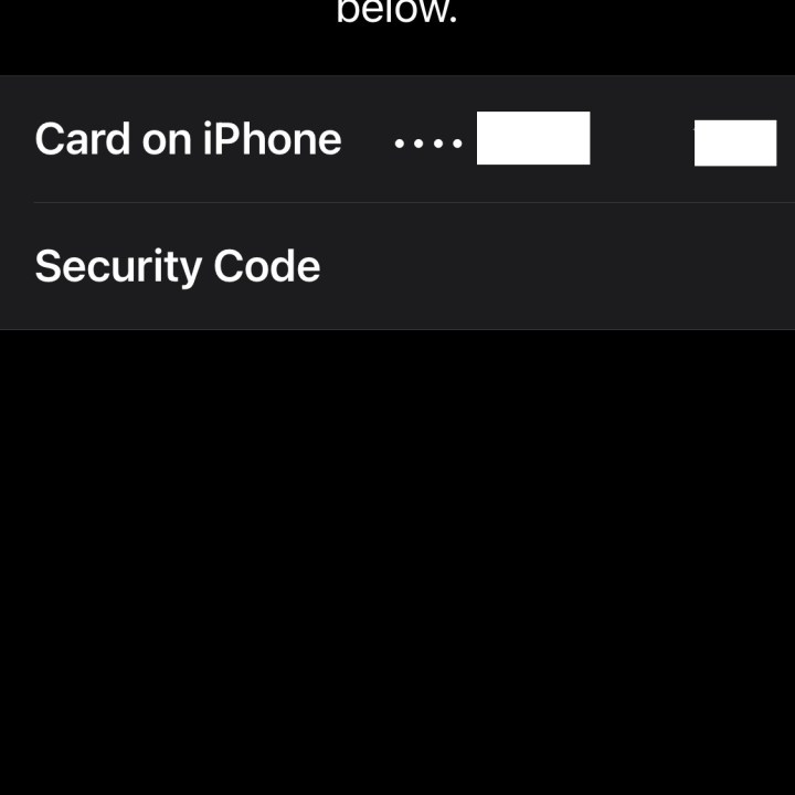 Apple Pay on Apple Watch security code.
