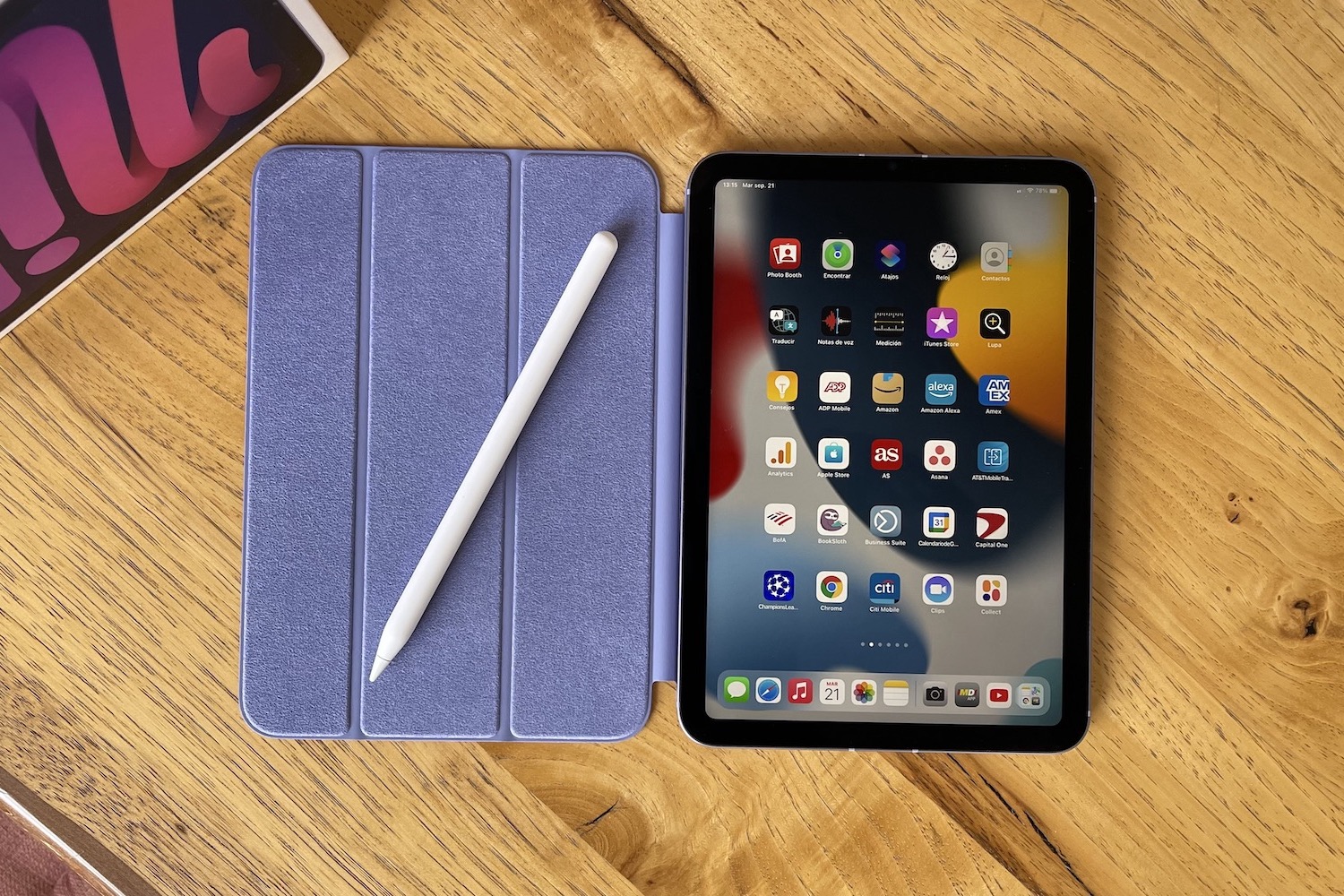 iPad mini