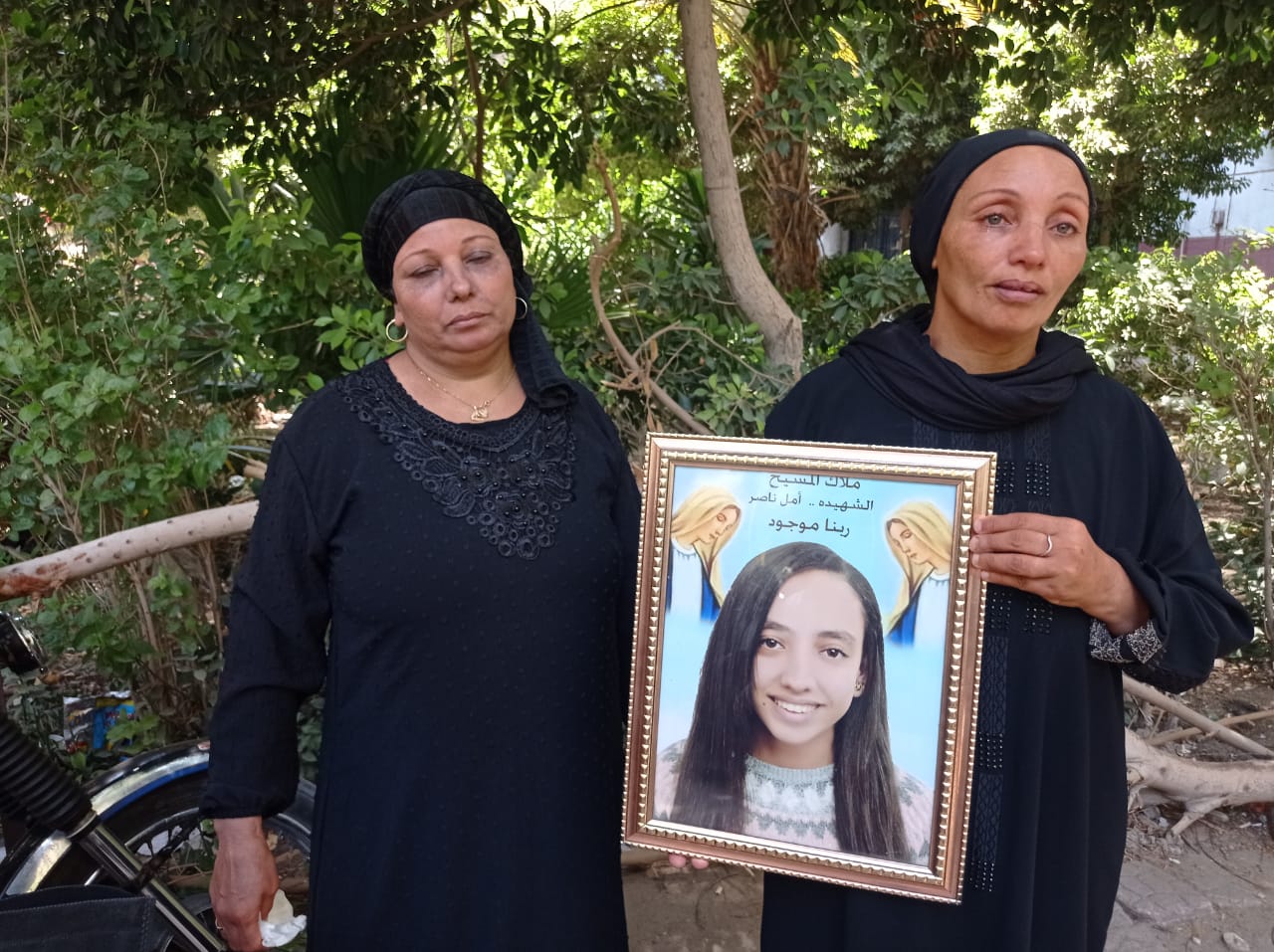 أسرة فتاة البراجيل 