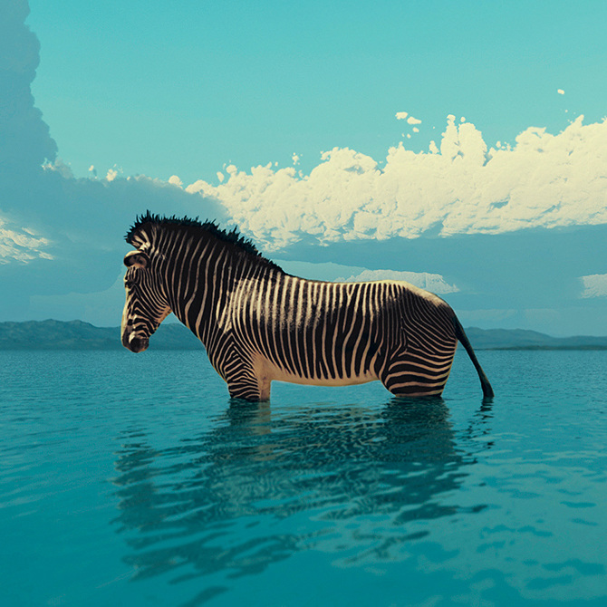 Image result for neil krug