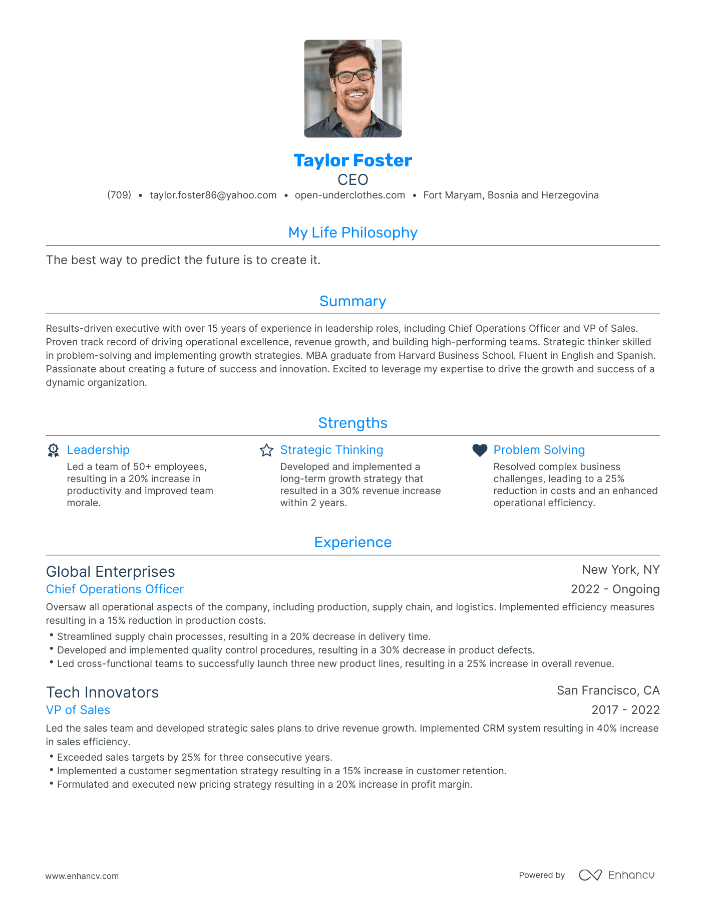 Ceo Resume Sample Image.