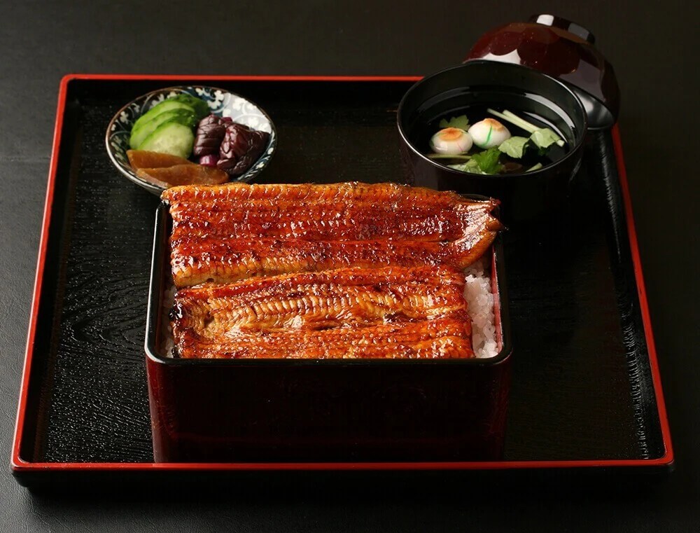 kohei eel 4