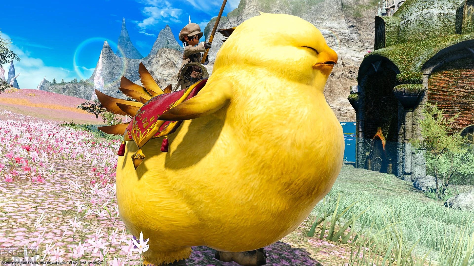 Fat Chocobo