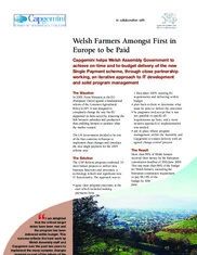 Capgemini Case Study Pdf Educational Assessment Scalability - Perfect Full HD Gradient Arts | Free Download