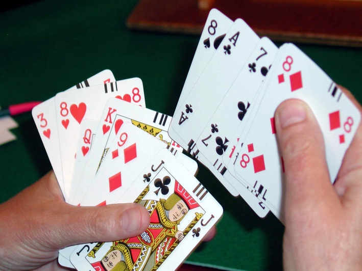 Université du Bridge