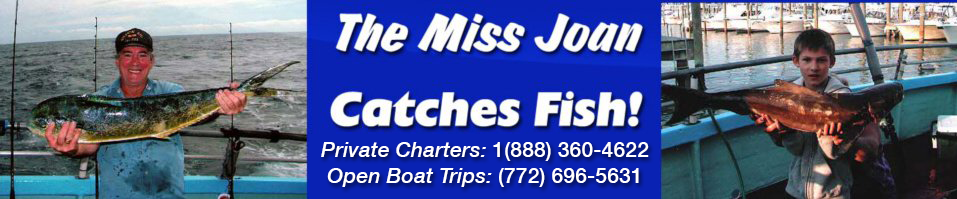 Welcome To The Miss Joan