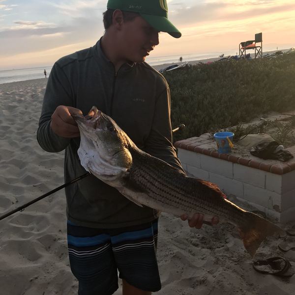 Biggest Catches In Carpinteria Creek