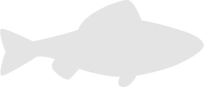 Eibsee Fishprep - Ocean Photos - Artistic HD Collection