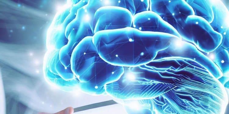 Unraveling the brain's mysteries