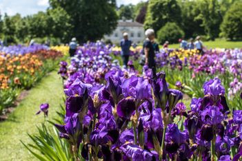 Der Schonste Garten Eine Oase Fur Insekten Ist Diese Grunanlage Kinzigtal
