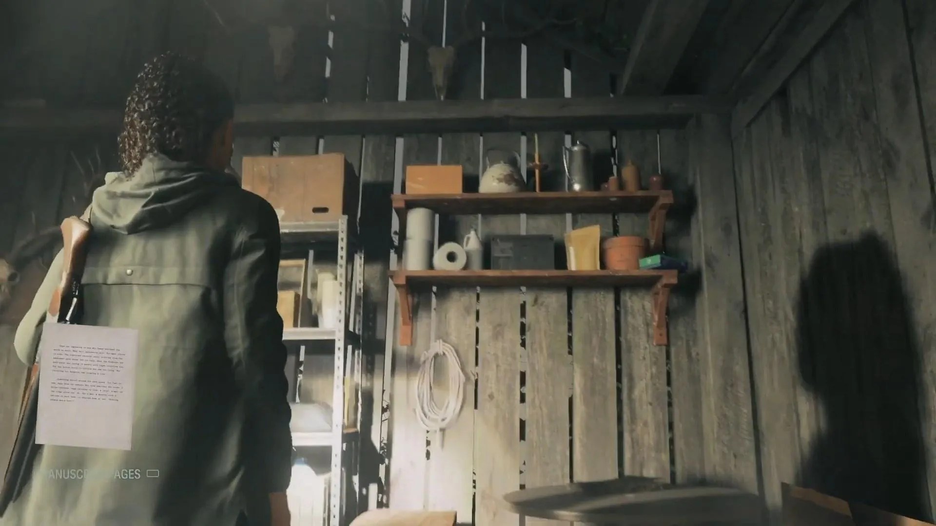 Alan wake 2