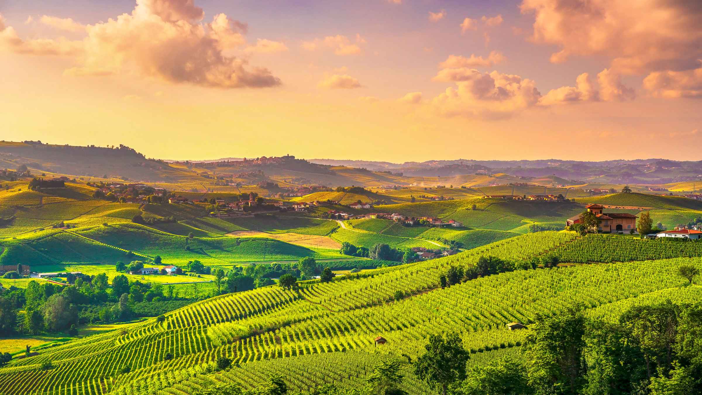 Piemonte: I Migliori Tour - Cose Da Fare Nel 2022 | Cancellazione Gratuita | Getyourguide 1350_x_2400_jpg