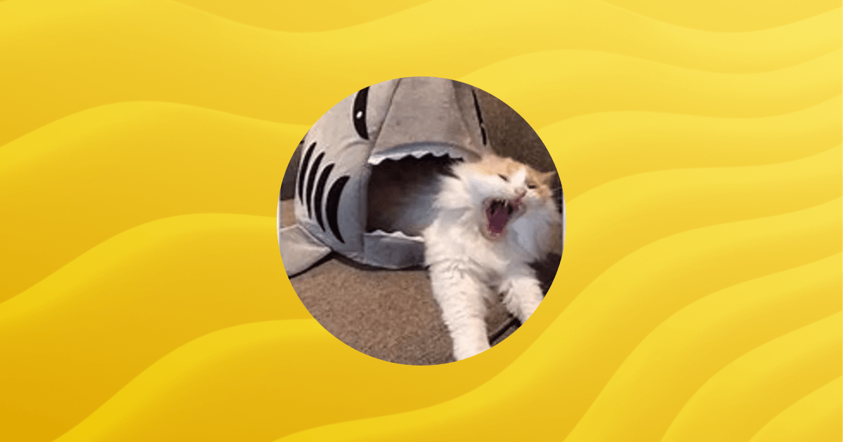 Red S Applications Guilded - Premium Landscape Background Gallery - Desktop